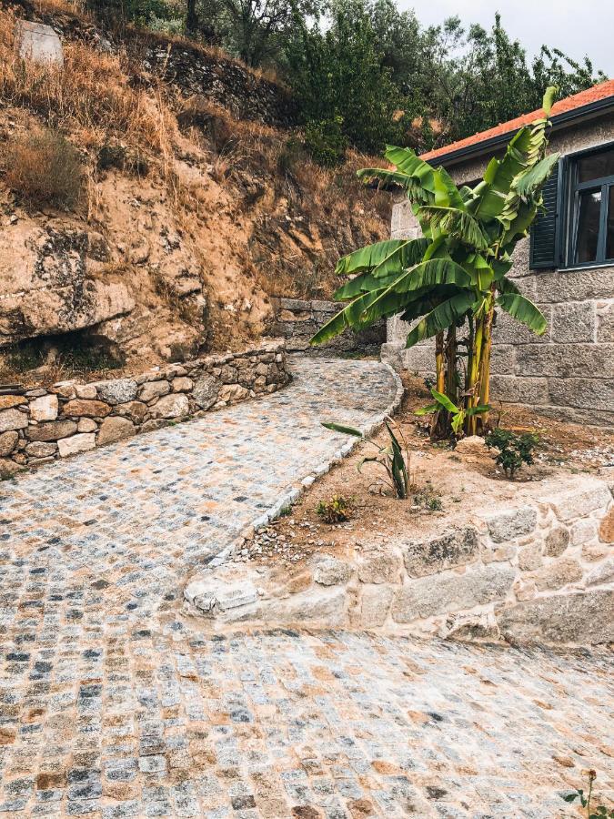 Bed and Breakfast Quinta Do Fojo Valonguinho, Barro Barro  Exteriér fotografie